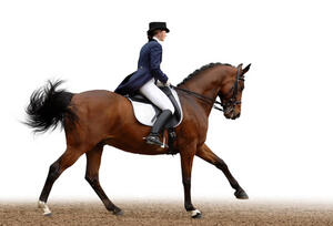 Reiten