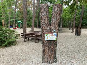 »Duzl-Baum« beim Waldspielplatz in der Höllohe