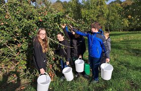 Kinder haben einen Eimer in der Hand und sammeln &Auml;pfel