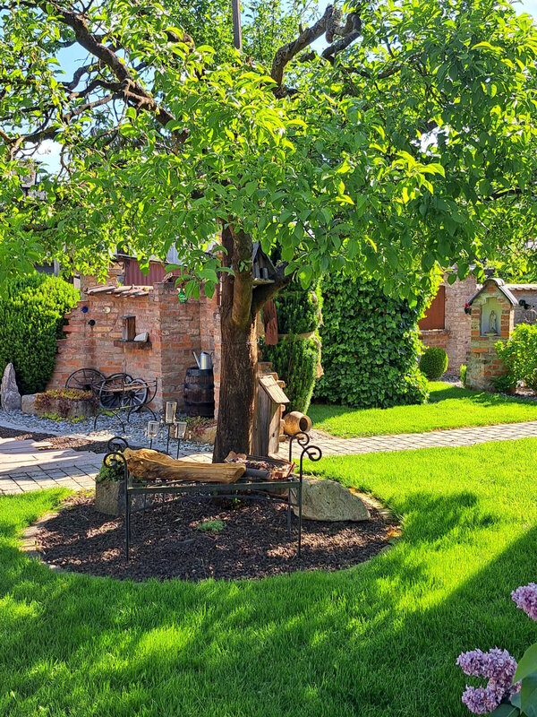 Ein Baum steht in einem Garten