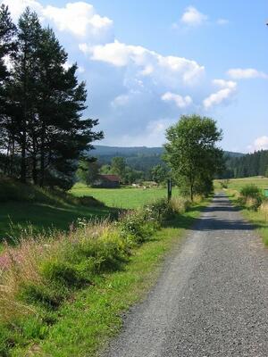 Im Sch&ouml;nseer Land