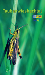 Flyer-Taubenwiesbachtal