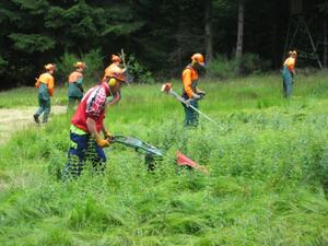 Berufssch&uuml;ler im Einsatz