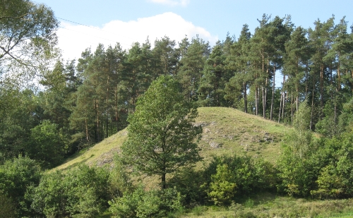 Serpentinfarnstandort im Raum Niedermurach