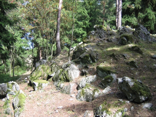 Serpentinfarnstandort im Raum Sch&ouml;nsee
