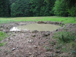 Neuer T&uuml;mpel in der westlichen Taubenwiese