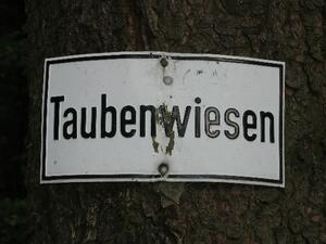 Taubenwiesbachtal